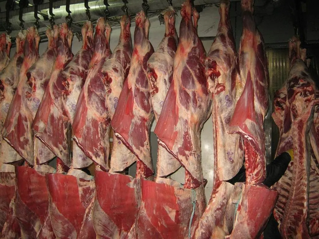 фотография продукта Реализуем свинину и говядину (ОХЛ) 