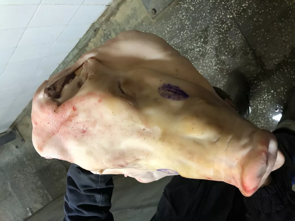 Фотография продукта Головы свиные ограблен. от производителя