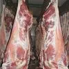 мясо говядины полутуши от 20 тонн в Краснодаре