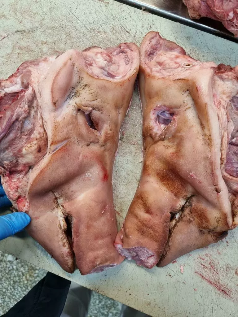 свиные головы ограбленные в Йошкар-Оле и Республике Марий Эл